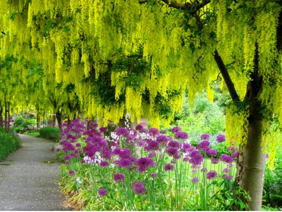 バンクーバー名園散策ツアー　バンデューセン植物園＆クイーンエリザベス公園 ＜4～10月／昼食付き／日本語ガイド＞