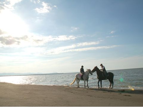 石狩 海辺の乗馬体験　ビーチ沿いを馬に乗り歩く感動体験！フロンテア乗馬クラブでのレッスン＆日本海砂浜ホースライド＜4～11月／送迎付／札幌発＞