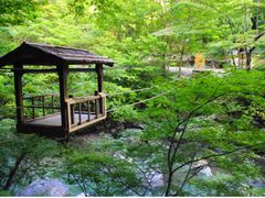 Oku-Iya Niju Kazura Bashi Double Vine Bridge