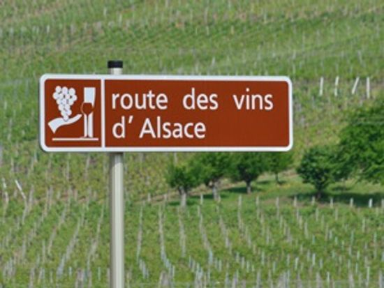 alsace_half_day_private_wine_tour_m_1