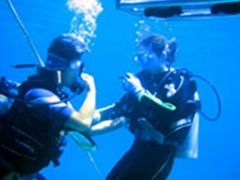 ボート体験ダイビング10