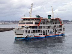 桜島フェリー、バスごと乗車