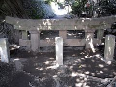 IMG_9781