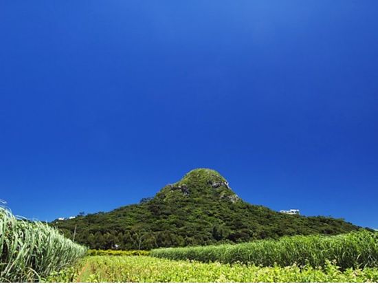 【4月～5月 GW限定】伊江島ゆり祭り 専用クルーザーで行く！伊江島島内観光ツアー＜4/29～5/5／那覇発＞