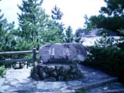 桂浜の石