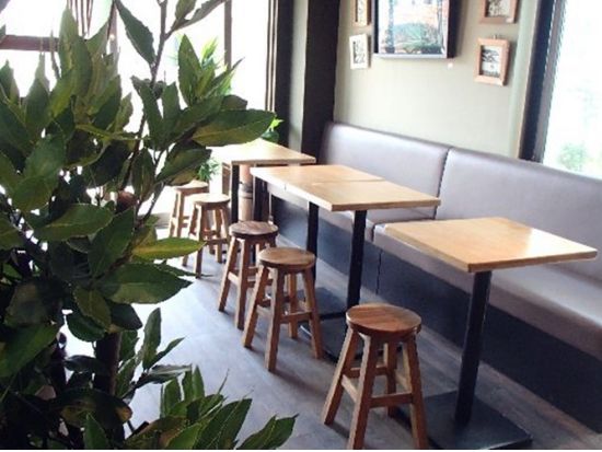 【愛犬連れOK】1日1組限定！シーカヤック体験ツアー 大型犬も歓迎！穏やかな海なのでカヌー初心者も安心＜初心者大歓迎／写真データプレゼント／貸切／半日／逗子＞