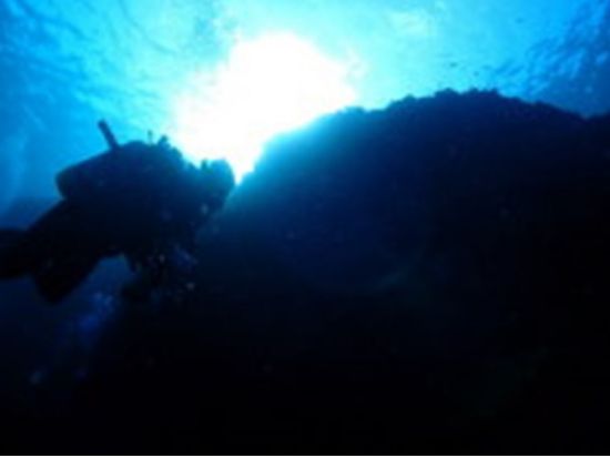 ファンダイビング・リフレッシュダイビング1日コース　真鶴の海で日帰りダイビング＜1日／送迎付／真鶴＞by だいびんぐしょっぷ海家　