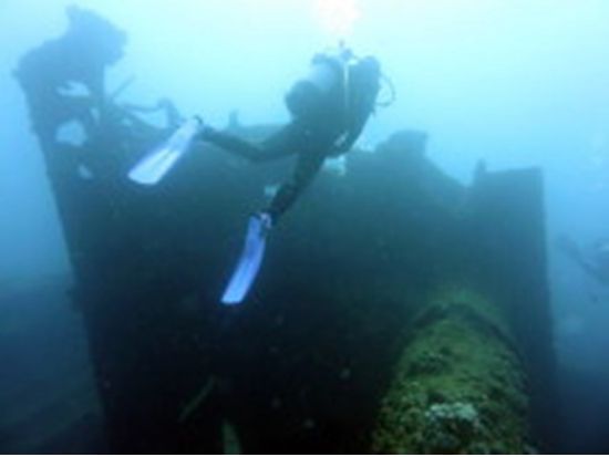 ファンダイビング・リフレッシュダイビング1日コース　真鶴の海で日帰りダイビング＜1日／送迎付／真鶴＞by だいびんぐしょっぷ海家　