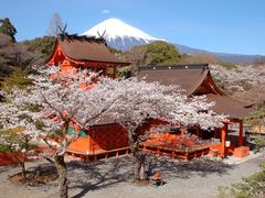 Fujisan Hongu Sengen Taisha Shrine