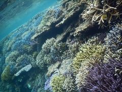 上地観光海4