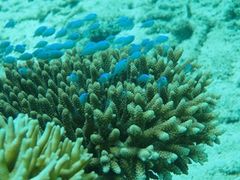 上地観光海7