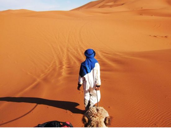 【ワルザザート発 モロッコ1泊2日】砂漠でのテントキャンプ！ラクダ乗り体験＆トドラ渓谷散策＜英語＞