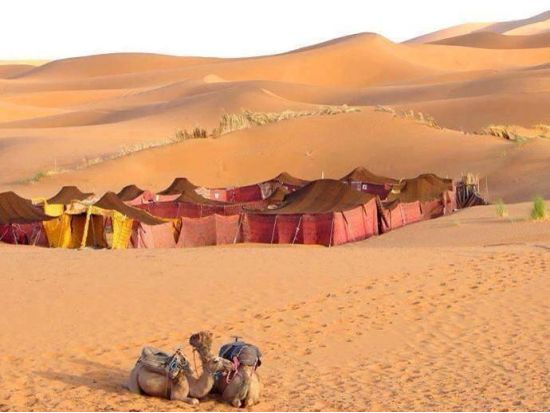 【ワルザザート発 モロッコ1泊2日】砂漠でのテントキャンプ！ラクダ乗り体験＆トドラ渓谷散策＜英語＞