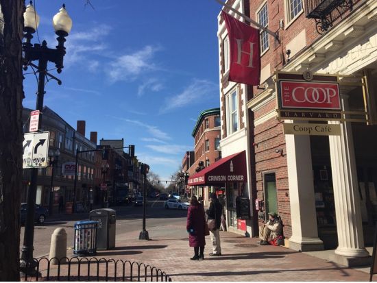 ハーバード大学キャンパス　ウォーキングツアー ＜日本語ガイド＞