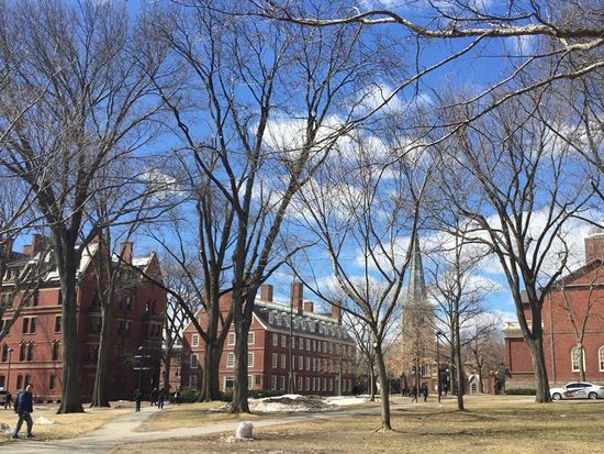 Harvard Yard 3