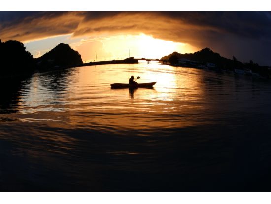 サンセットカヤックツアー　マングローブの豊かな森とロックアイランドを半日でめぐる＜送迎付き＞by パラオ・パシフイックダイバーズ