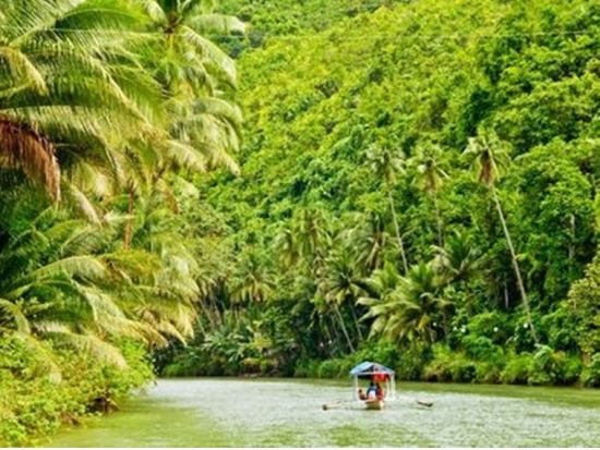 ボホール島1日観光ツアー メガネザル＋チョコレートヒルズ　ボホール島在住のベテランガイド確約！　ビジネスクラスプラン有＜日本語／リバークルーズランチ／セブ発＞