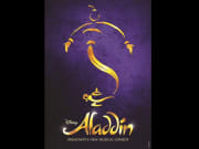 Aladdin_LOGO_1.25x1.75