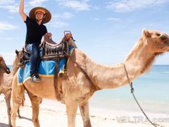 camel_safari_ritz-1011