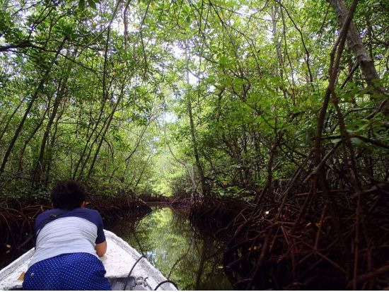 ウミガメポイントでシュノーケリング日帰りツアー　レンボンガン島でたっぷり海の生き物観察！デビルティアーズ訪問＋ビーチクラブ利用＜日本語ガイド／送迎／ランチ付＞