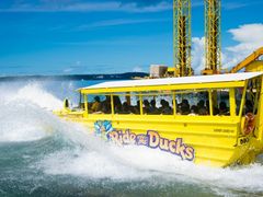 Ride_the_Ducks_004