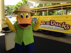Chucky_Duck1
