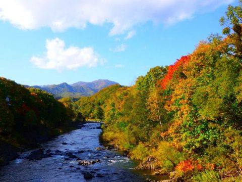 SUP体験　水の上のふわふわと浮く感覚に病みつき！札幌から車で約40分で楽しめる！＜6～10月／小学生以上OK／定山渓近隣エリア送迎可＞