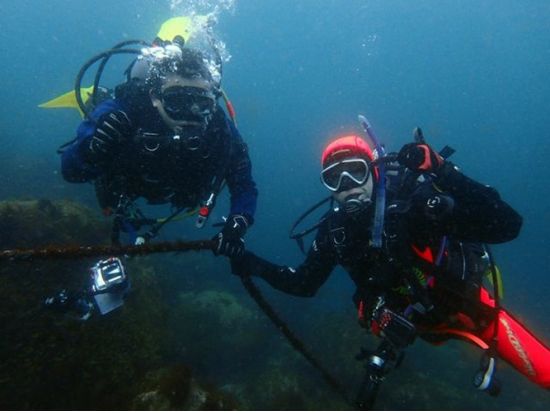 ファンダイビング 天然の漁礁と謳われる豊かな初島の海中世界へご案内！＜ビーチ／2ダイブ＞by シーフロント初島