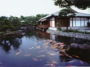 Kokoen Garden pond, filled with koi fish