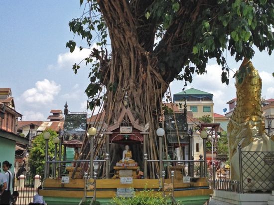 ミャンマー伝統占い＆願掛けツアー　占い大国ミャンマーで運気アップ！＜ヤンゴン発着／午前or午後／貸切／日本語ガイド＞