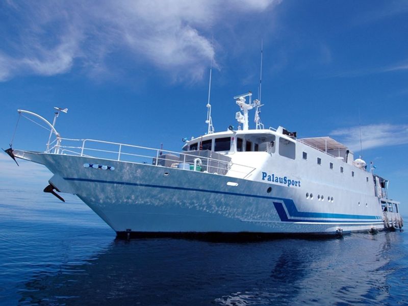 パラオスポート号DSC_0025