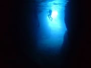 アンダゴ　青の洞窟　熱帯魚01