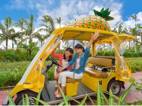 美ら海水族館観光バスツアー 人気のアメリカンビレッジコースとパイナップルパークコースから選べる！人気の観光地を巡る満喫ツアー＜那覇・北谷発／2歳以下無料＞