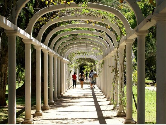 リオ・デ・ジャネイロ国立植物園観光半日ツアー☆ブラジル一番の植物園には動植物がたくさん！＜英語ガイド／リオ・デ・ジャネイロ発＞