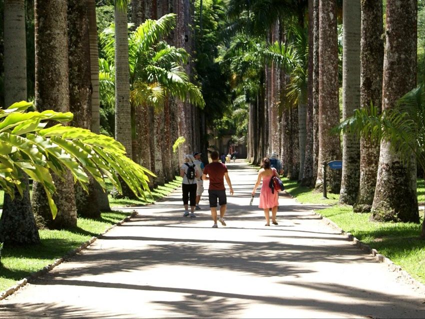 リオ・デ・ジャネイロ国立植物園観光半日ツアー☆ブラジル一番の植物園