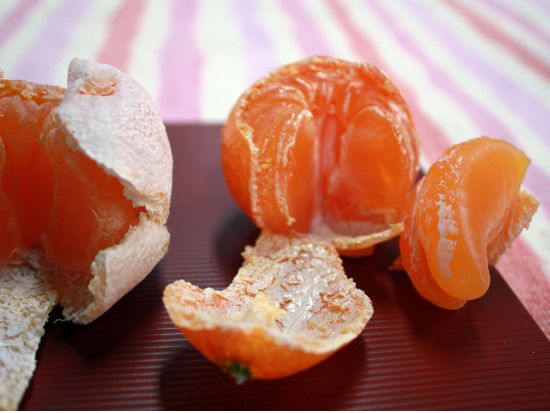 食品サンプル作り体験 食品サンプルメーカーでパフェや納豆、イクラのせご飯などを作ってみよう！ ＜福岡市＞by サンプルRiki