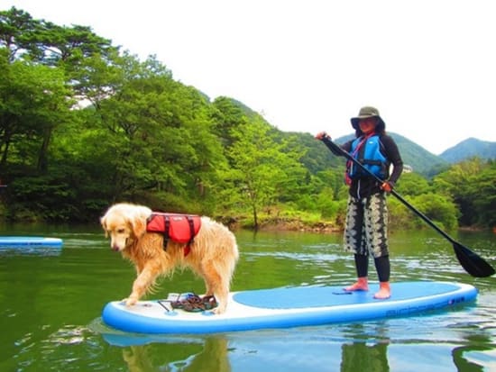 Paddler and dog on a SUP