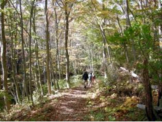 みちのく潮風トレイルガイド 北三陸の大自然の懐を歩く＜1時間／田野畑村＞by番屋エコツーリズム