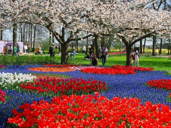 Keukenhof Gardens