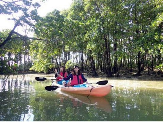 億首川マングローブカヤックツアー 初心者や家族旅行にもおすすめ！ゆったりと楽しめる ＜2歳から参加可／沖縄本島中部＞by 海遊倶楽部