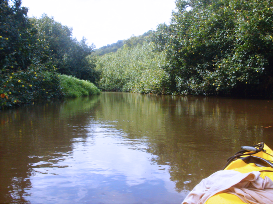 カウアイ島　カヤック＋シュノーケリング体験ツアー☆大人気アクティビティを集約！＜1日／英語ガイド／昼食付／ハナレイまたはプリンスビル発＞