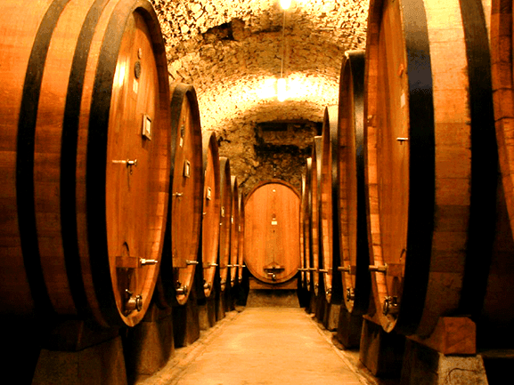 Chianti Wine Tour From Florence With Olive Oil Tasting Tours ...