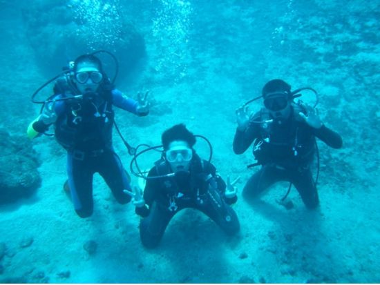 体験ダイビング＜ビーチ／1～2ダイブ＞by MSC