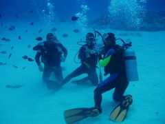 20150511004529_373301_diver003
