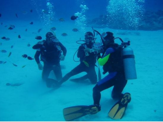 貸切体験ダイビング グロットでのシュノーケリング付きプランあり！＜ビーチ／1～2ダイブ＞by MSC