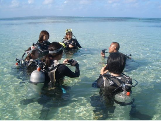 体験ダイビング＜ビーチ／1～2ダイブ＞by MSC