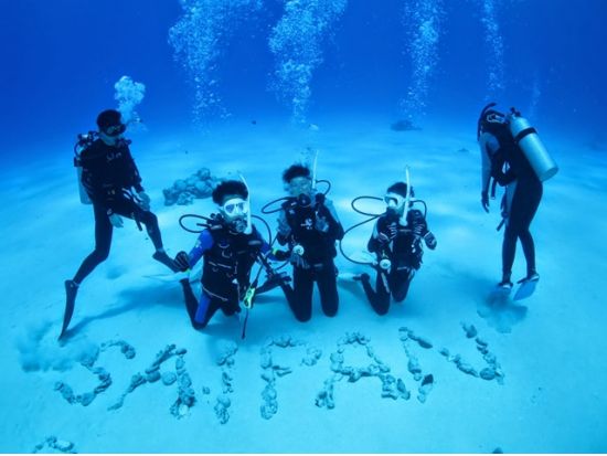 ファンダイビング　送迎付きツアー ＜2ダイブ＞  by MSC