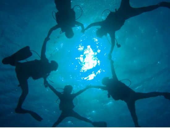 ファンダイビング　送迎付きツアー ＜2ダイブ＞  by MSC