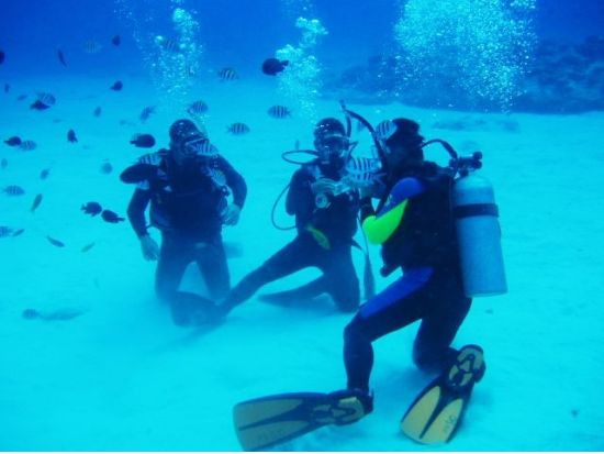 体験ダイビング＜ビーチ／1～2ダイブ＞by MSC