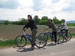 IMG_1239